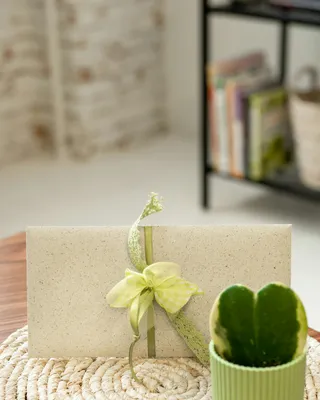 Living Slower in a Faster World